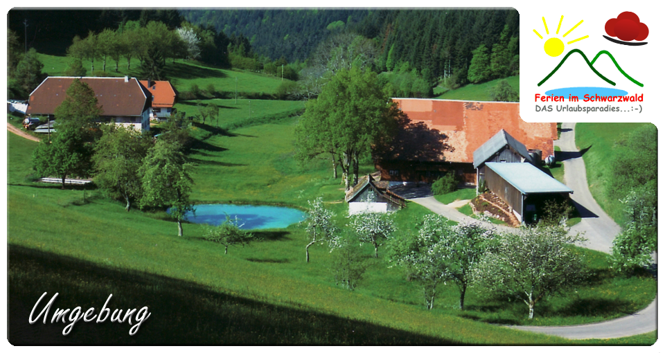 Harter Ferienwohnung Wolfach-Kirnbach